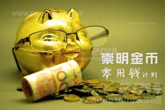 崇明金币零用钱100元