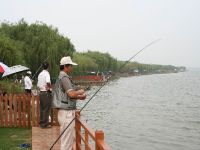 上海崇明岛绿华镇明珠湖垂钓场