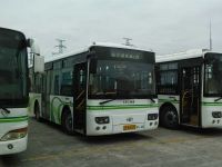 上海崇明岛公交线路——东滩一路（陈家镇-裕安小学）