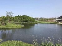 上海崇明区长兴岛湿地公园长兴岛河滩公园