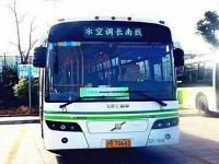 上海崇明岛公交线路——长南线（长兴岛-南门）