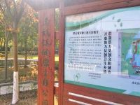 上海崇明岛建设镇健康主题公园