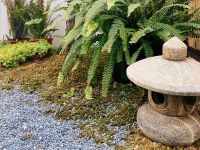 建设杉水农家