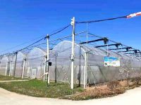 上海崇明岛中兴镇颖豚农业科技有限公司 